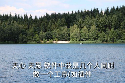  天心 天思 软件中我是几个人同时做一个工序(如插件