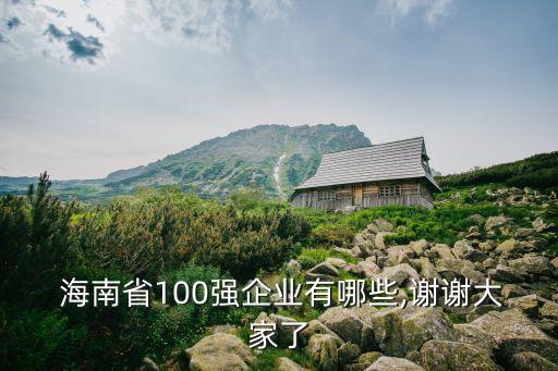  海南省100强企业有哪些,谢谢大家了