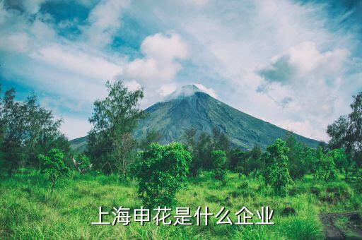  上海申花是什么企业