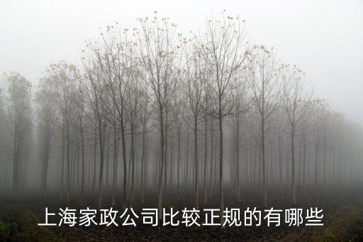 上海家政公司比较正规的有哪些