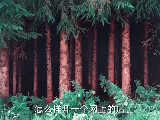 怎么样开一个网上的店