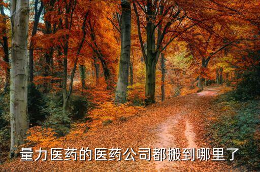 量力医药的医药公司都搬到哪里了