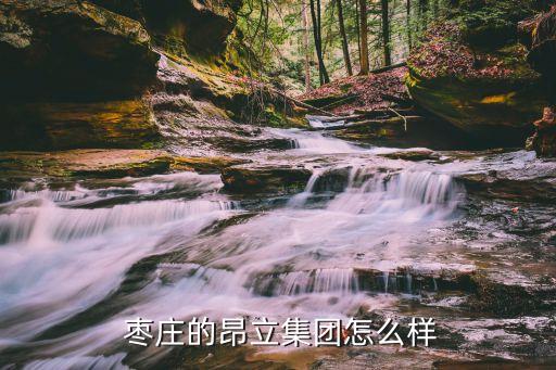 枣庄双翔发展投资有限公司
