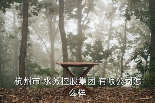 杭州水务有限公司