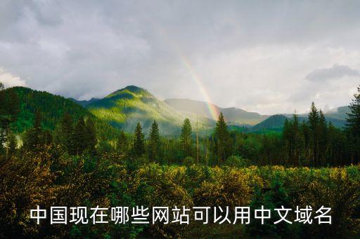 中国现在哪些网站可以用中文域名