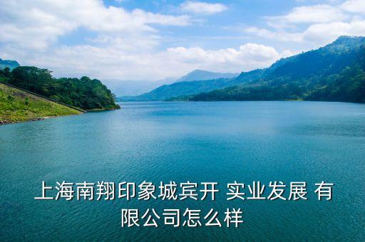  上海南翔印象城宾开 实业发展 有限公司怎么样