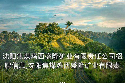 沈阳焦煤鸡西盛隆矿业有限责任公司招聘信息,沈阳焦煤鸡西盛隆矿业有限责...