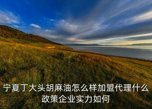 宁夏丁大头胡麻油怎么样加盟代理什么政策企业实力如何