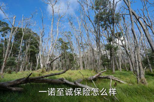 一诺至诚保险怎么样