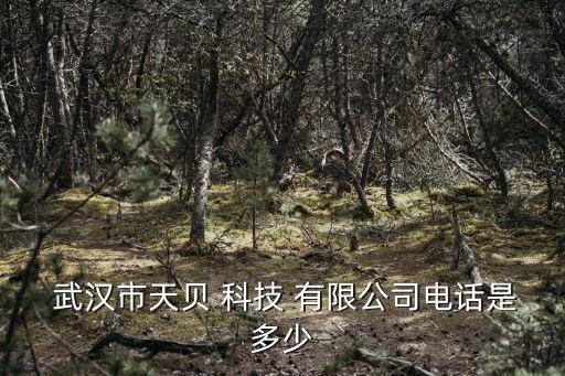  武汉市天贝 科技 有限公司电话是多少