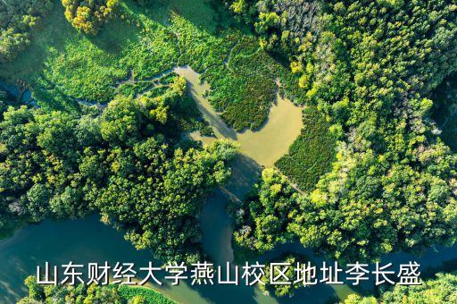 山东财经大学燕山校区地址李长盛