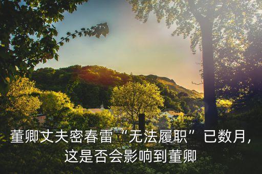 董卿丈夫密春雷“无法履职”已数月,这是否会影响到董卿
