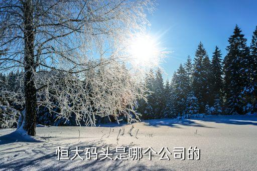 广州宏景房地开发有限公司,宏景旅游开发有限公司