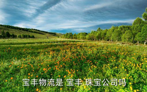 宝丰珠宝有限公司,宝丰酒业有限公司
