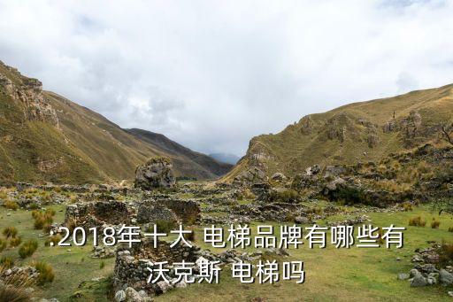:2018年十大 电梯品牌有哪些有沃克斯 电梯吗