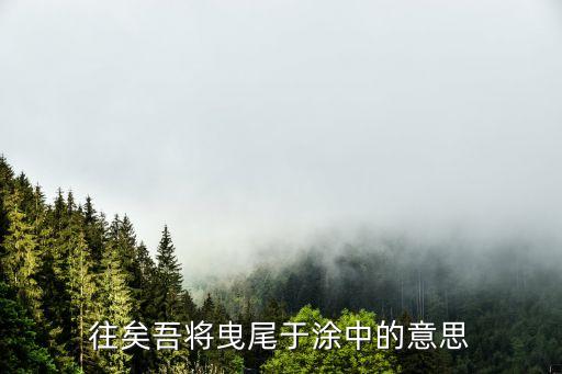 往矣吾将曳尾于涂中的意思