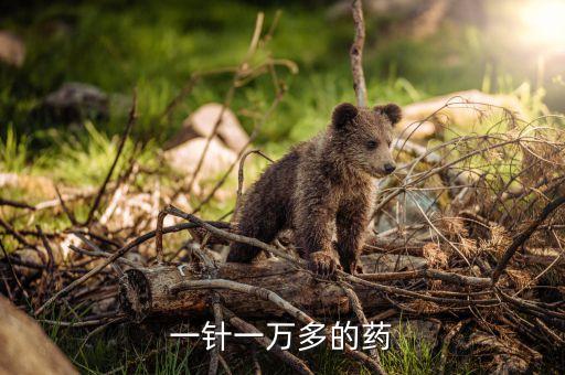 诺华制药有限公司沈阳分公司,北京诺华制药有限公司