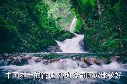 中国本土的管理 咨询公司哪家比较好