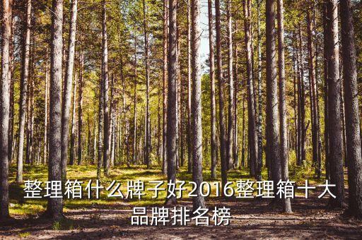 整理箱什么牌子好2016整理箱十大品牌排名榜