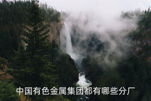 中国有色金属集团都有哪些分厂
