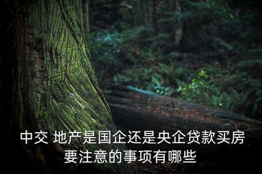  中交 地产是国企还是央企贷款买房要注意的事项有哪些