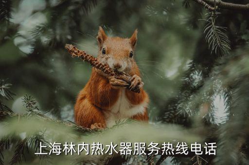  上海林内热水器服务热线电话