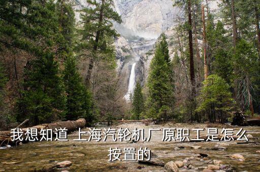 我想知道 上海汽轮机厂原职工是怎么按置的