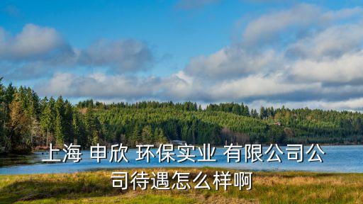 上海申欣环保有限公司,陕西申欣建设工程有限公司