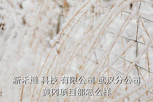 新禾道 科技 有限公司 武汉分公司黄冈项目部怎么样