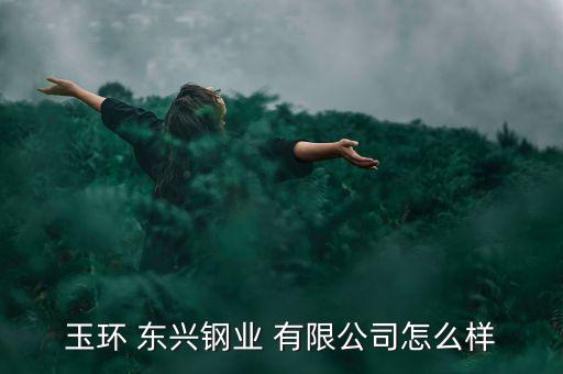 玉环 东兴钢业 有限公司怎么样