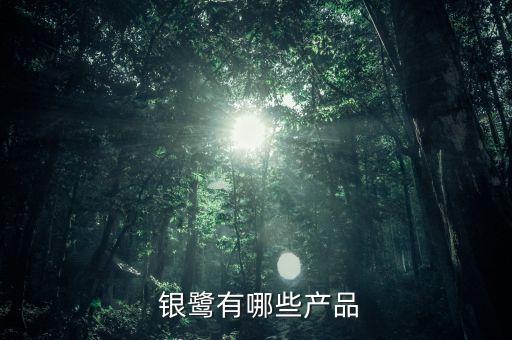 银鹭食品集团有限公司 规模,厦门银鹭食品集团有限公司是国企吗