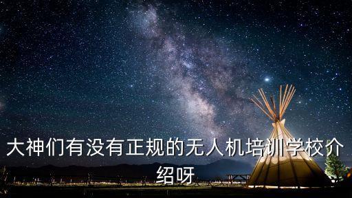 大神们有没有正规的无人机培训学校介绍呀