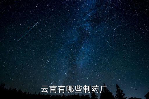 云南有哪些制药厂