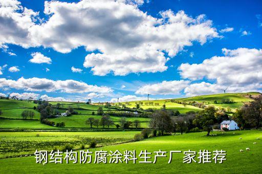 钢结构防腐涂料生产厂家推荐