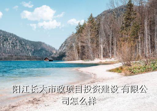  阳江长大市政项目投资建设 有限公司怎么样