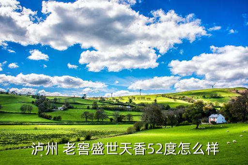  泸州 老窖盛世天香52度怎么样