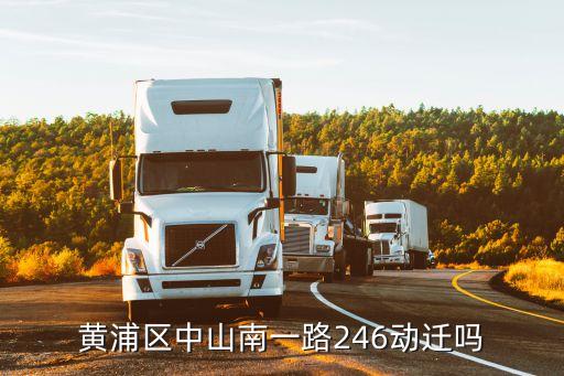 黄浦区中山南一路246动迁吗