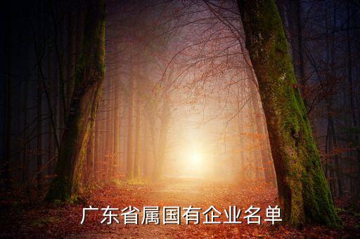 广东宏业建设工程有限公司