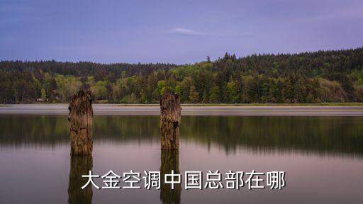 大金置业有限公司,大金机电设备(西安)有限公司
