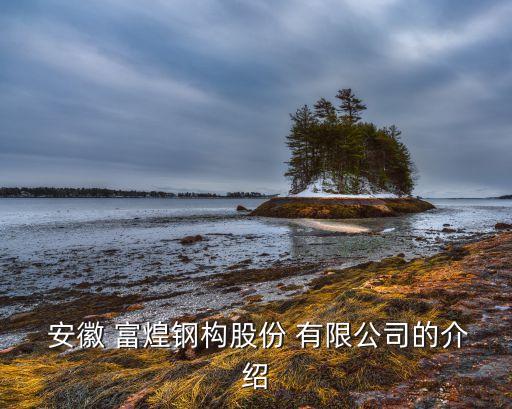 安徽富煌电控有限公司招聘