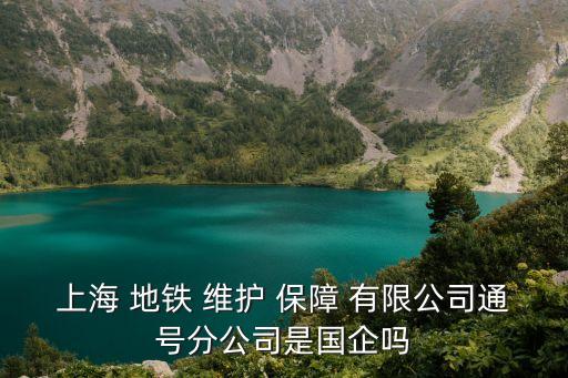 上海 地铁 维护 保障 有限公司通号分公司是国企吗