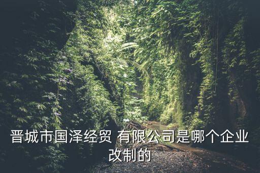 晋城市国泽经贸 有限公司是哪个企业改制的