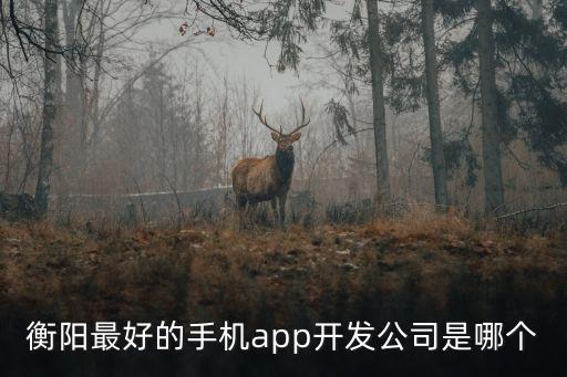 衡阳最好的手机app开发公司是哪个