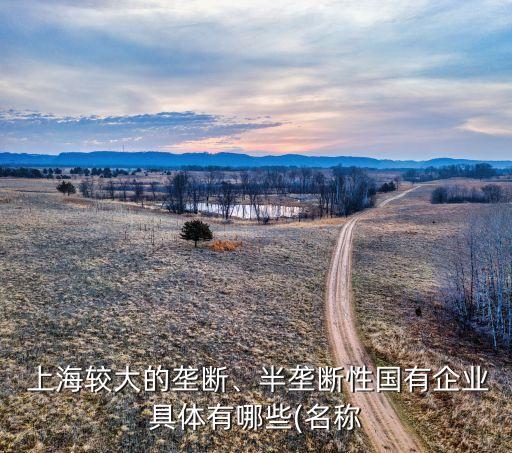  上海较大的垄断、半垄断性国有企业具体有哪些(名称