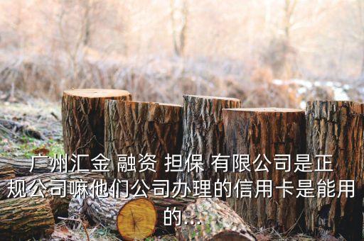 广州汇金 融资 担保 有限公司是正规公司嘛他们公司办理的信用卡是能用的...