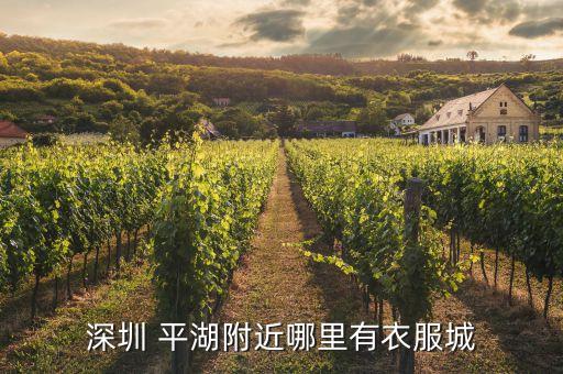 平湖市英姿服饰有限公司,武汉英姿华都服饰有限公司