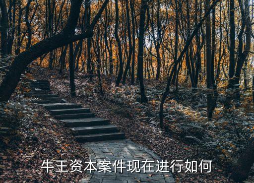 牛王资本案件现在进行如何