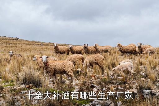 十全大补酒有哪些生产厂家