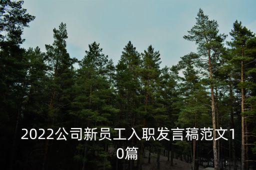 2022公司新员工入职发言稿范文10篇