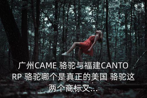 广州CAME 骆驼与福建CANTORP 骆驼哪个是真正的美国 骆驼这两个商标又...